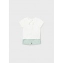 Completo pantalone corto Verde azzurro 052