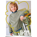 Jersey cotone basico c/rotondo Pistacchio 010