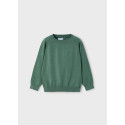 Jersey cotone basico c/rotondo Abete 014