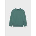 Maglia cotone basico Pino vig 065