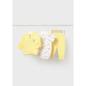 Tuta 3 pezzi body Sunny 088
