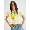 Shirt m/c grafica Vaniglia 093